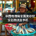 中国电信加速实名制推进 网络安全强化行动持续 中国电信加速实名制推进 网络安全强化行动持续