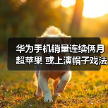 华为智能手机出货量超越苹果，冲击全球第二