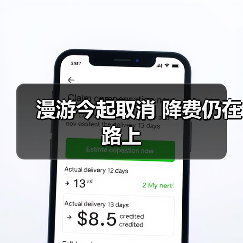 长途漫游费取消 流量消费聚焦用户新需求