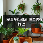 长途漫游费取消 流量消费聚焦用户新需求