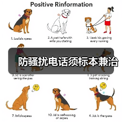 长效治理拨打骚扰电话 应如何应对？