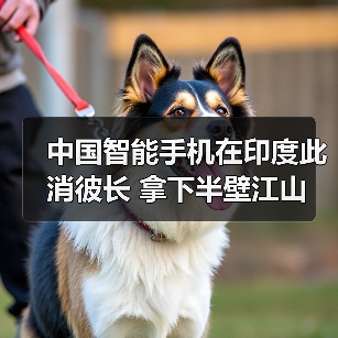 中国手机品牌在印度市场遇挑战,销量波动引关注 中国手机品牌在印度市场遇挑战,销量波动引关注