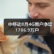 中国移动4G用户增长放缓 3G用户流失加剧