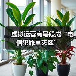 虚拟运营商170号段成电信诈骗重灾区