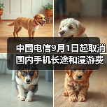 中国电信取消国内长途漫游费 用户无需申请自动生效