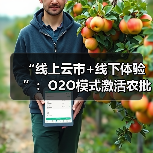 政策驱动O2O模式革新传统农批市场数字化转型