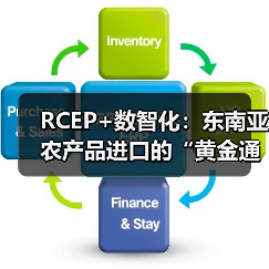 数智化技术加速RCEP区域农产品通关与物流