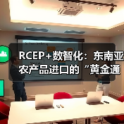 数智化技术加速RCEP区域农产品通关与物流