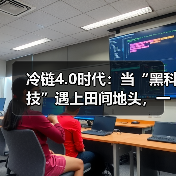 冷链物流4.0时代：智能温控与新能源技术重塑产业链