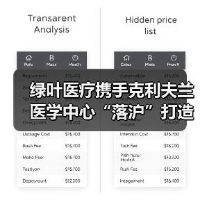 国际医疗合作推动多层次服务体系建设