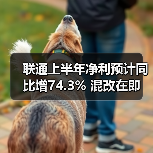 中国联通上半年净利润增长74.3% 下半年挑战凸显 中国联通上半年净利润增长74.3% 下半年挑战凸显