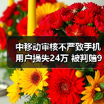 补卡诈骗致用户损失 法院判移动公司担责