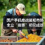 国产手机暑期争夺战：年轻市场成关键战场