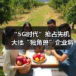 5G技术引领全球物联网发展,应用前景广阔 5G技术引领全球物联网发展,应用前景广阔