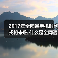 全网通手机深究：边通话边上网流量智能切换
