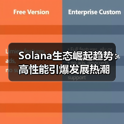 Solana生态：DeFi与NFT创新的高性能区块链