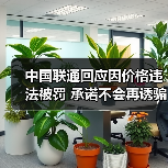 中国联通回应因价格违法被罚 承诺不会再诱骗消费者 中国联通回应因价格违法被罚 承诺不会再诱骗消费者