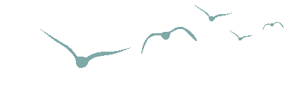 专家解读 | 锚定低空经济,民航工作会议如何定调2026? 专家解读 | 锚定低空经济,民航工作会议如何定调2026?