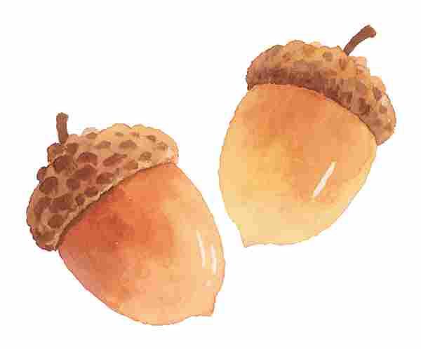 好书推荐|《影映非洲》在京首发 好书推荐|《影映非洲》在京首发