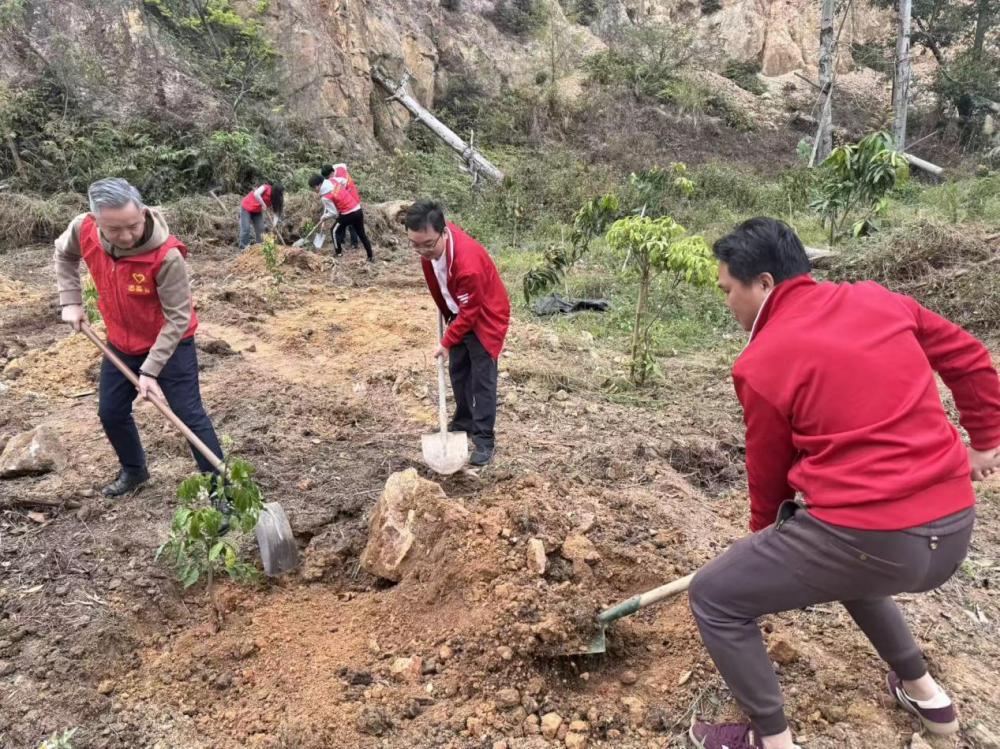 珠海联通植树护绿添新景 绘就乡村振兴绿美画卷