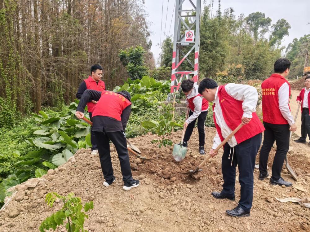 珠海联通植树护绿添新景 绘就乡村振兴绿美画卷