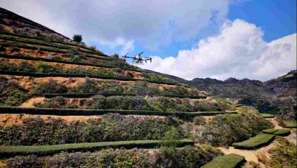 数字动能驱动茶山升级 5G+无人机植保助力农业现代化